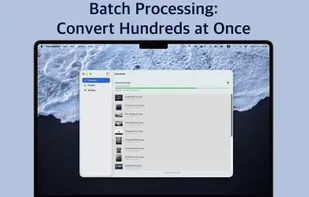 Transfigurator screenshot 2