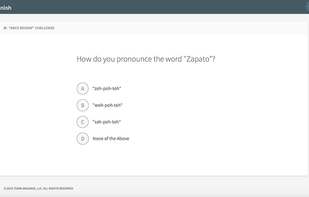 TeamSpanish screenshot 1