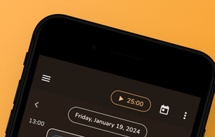 Detailed Schedule View (Mobile)
Time-Blocked Agenda, Day at a Glance