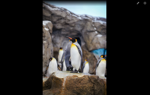 Photobox screenshot 1