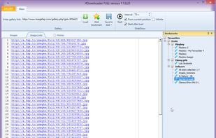 Web Gallery Downloader screenshot 1