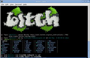 BitchX screenshot 1