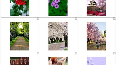 Photo logs