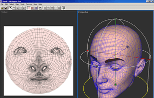 Uvmapper Pro screenshot 1