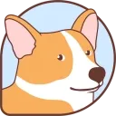DisCorkie icon