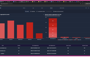 Memcyco’s phishing detection dashboard, highlighting spoofed domain activity over time. The bar charts display monthly trends in spoofing logs and aggregate domain spoofing incidents, with mmcobank.com being the primary target.