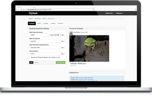 Optlook.net screenshot 1
