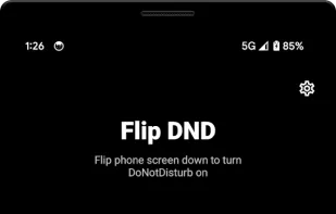 Flip DND screenshot 1