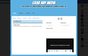 GrabAnyMedia screenshot 1