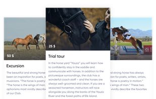 Marquiz screenshot 2