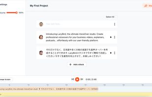 Main interface with text / script blocks editing