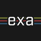 exa icon