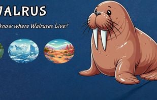 Animal Games: Puzzle for Kids screenshot 2