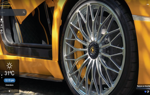 Charitable Exotics screenshot 1