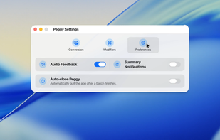 Peggy Converter screenshot 2