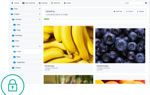 CKFinder screenshot 1