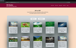 PDF Shelter screenshot 3