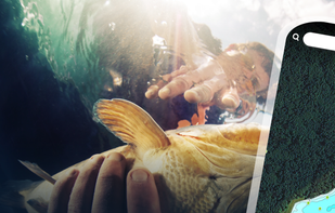 Fishbrain screenshot 1