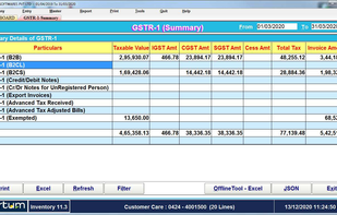 GST Reports