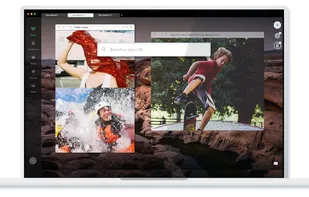 Metalyfe Browser screenshot 1