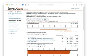 Blast analysis - overview of results
