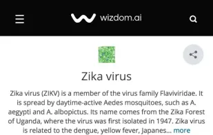 wizdom.ai screenshot 1