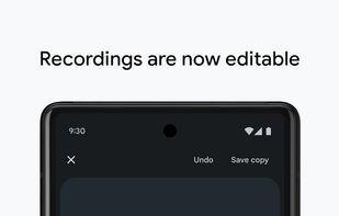 Google Recorder screenshot 3