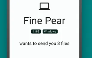 LocalSend screenshot 2