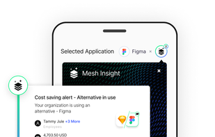 Mesh Payments screenshot 2