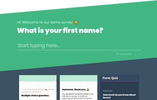 Vue Flow Form screenshot 1