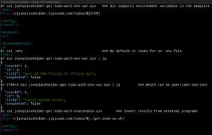 Screenshot displaying ain using environment variables and output from executables