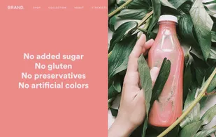 Online stores for nutrition brands.