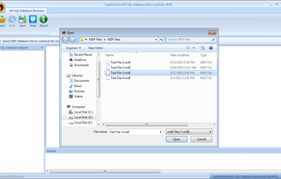 Databasefilerecovery SQL Database Recovery screenshot 1
