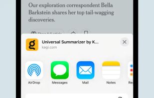 Kagi Summarize screenshot 3