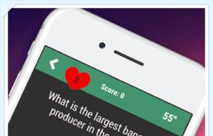 Devinoquiz screenshot 2