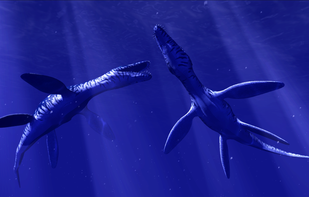 Ocean Rift screenshot 3