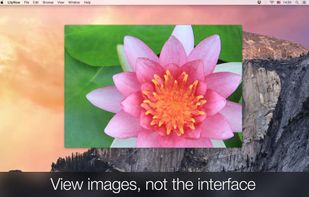LilyView screenshot 1