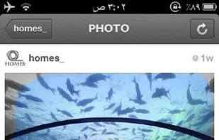 FunColor screenshot 1