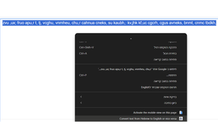 Marked English gibberish before the use of Vice Versa