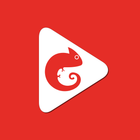 Cameleon.live icon