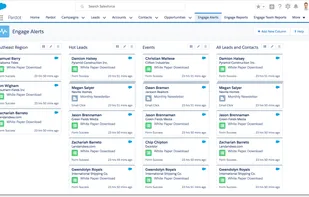 Salesforce screenshot 1