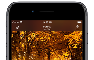 8Player screenshot 3