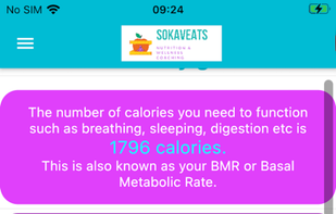 sokaveats screenshot 2