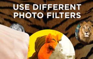 Beast Head screenshot 2