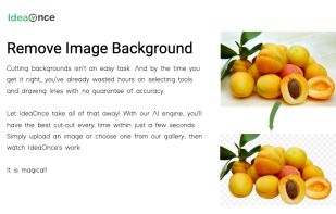 IdeaOnce is a platform that allows you to search all the free images in one place, at once.
Discover the latest high quality free-to-use images, CC0 licensed images to use anywhere.