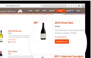 Add e-Commerce to your site.