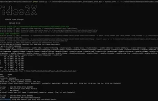 Video2X screenshot 3