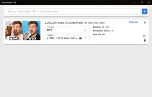 TubeFetcher - Main Interface
