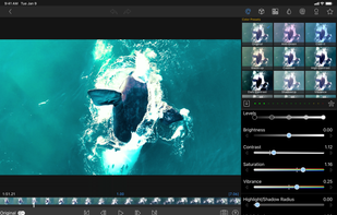 LumaFusion screenshot 2