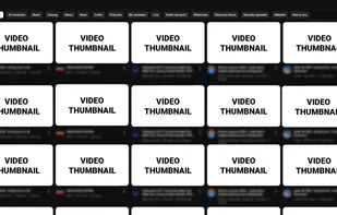 LiteTube Extension screenshot 1